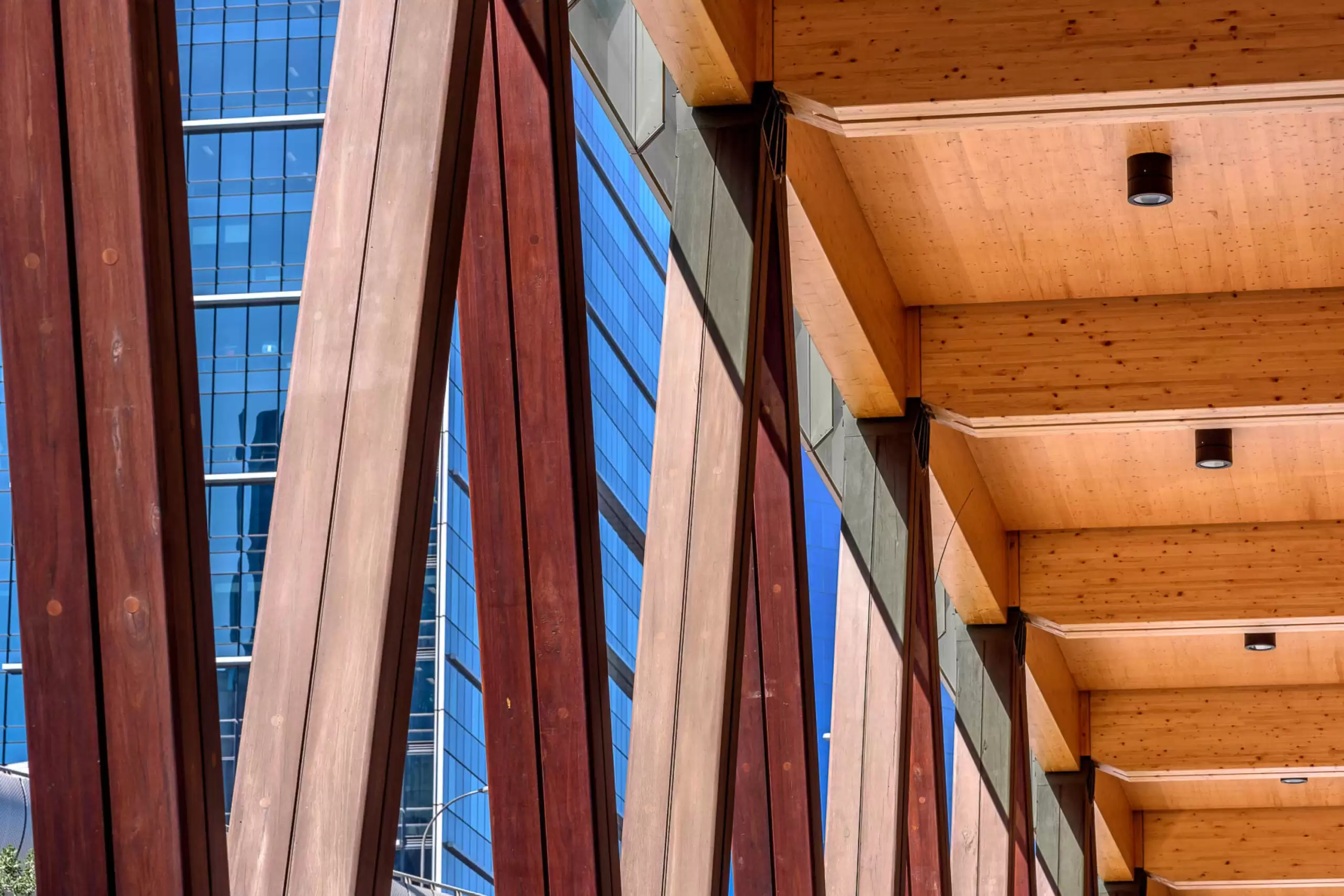 Photograph of two storey colonnade at International House framed by recycled Australian hardwood, glulam and CLT