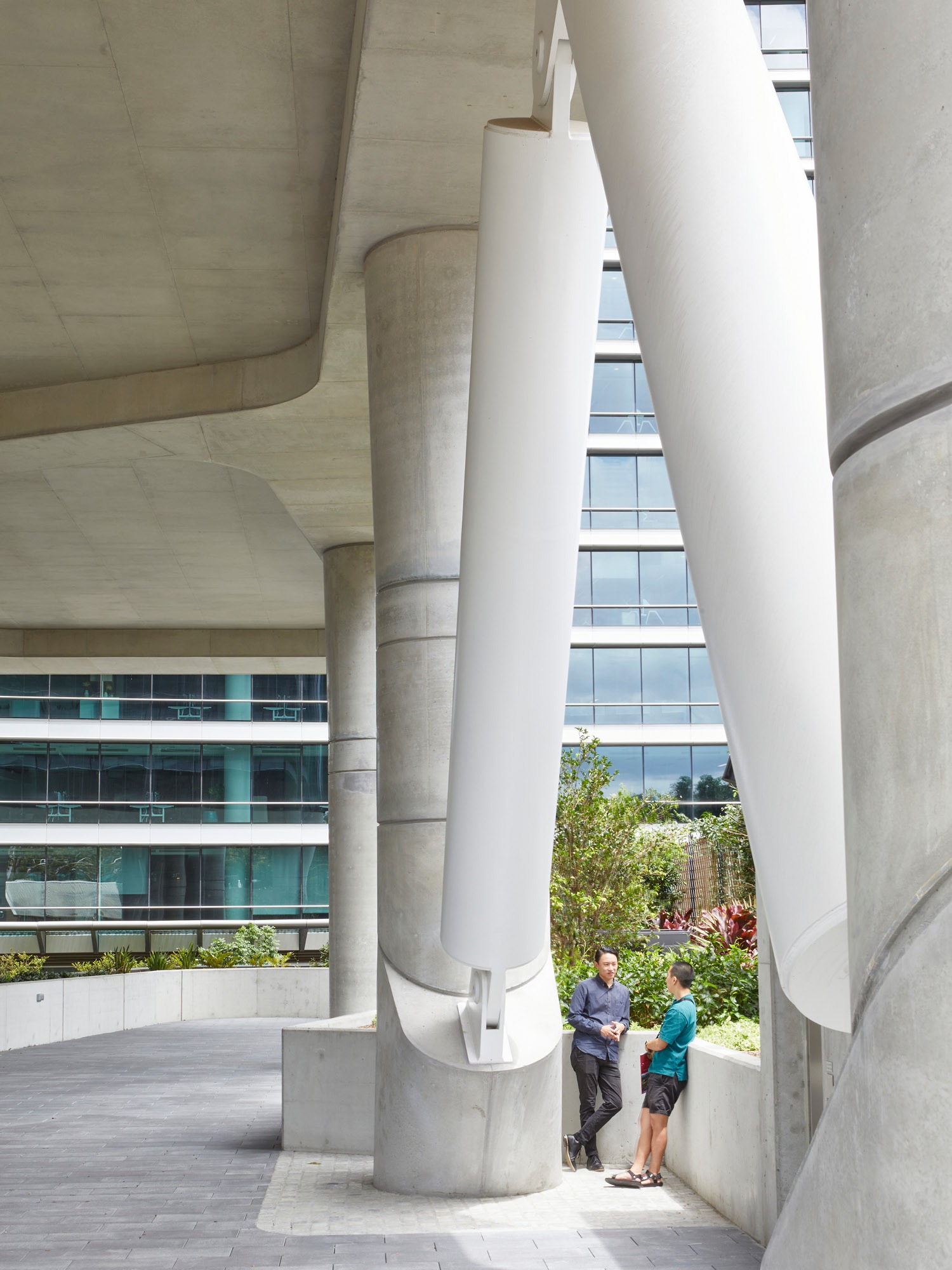 Photograph of the elevated retail roof terrace showing sculptural concrete soffit and structural bracing at 6 Hassall Street
