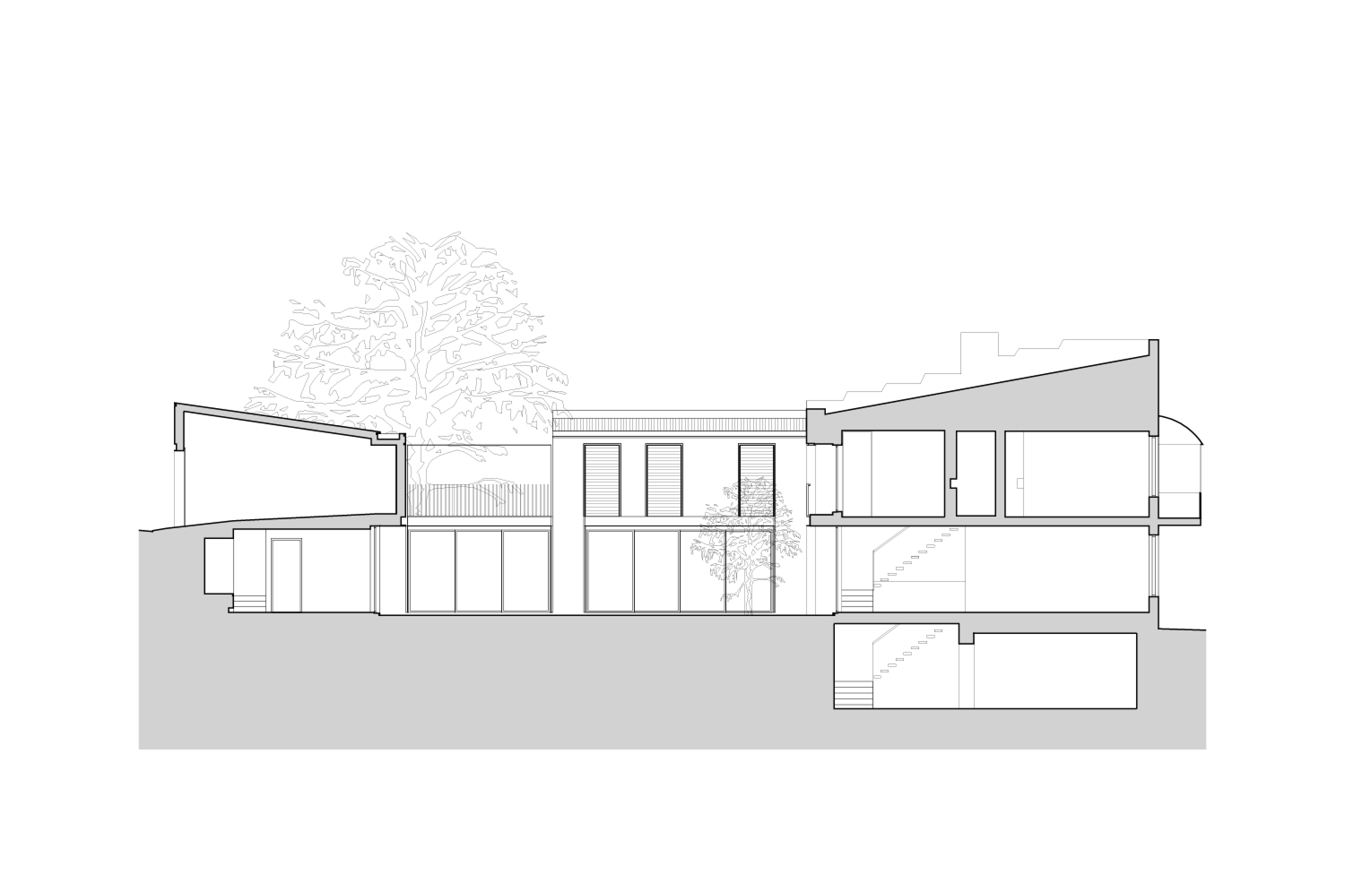 Long section drawing through the Paddington Corner House designed by Tzannes showing courtyard connecting new wing to the original house