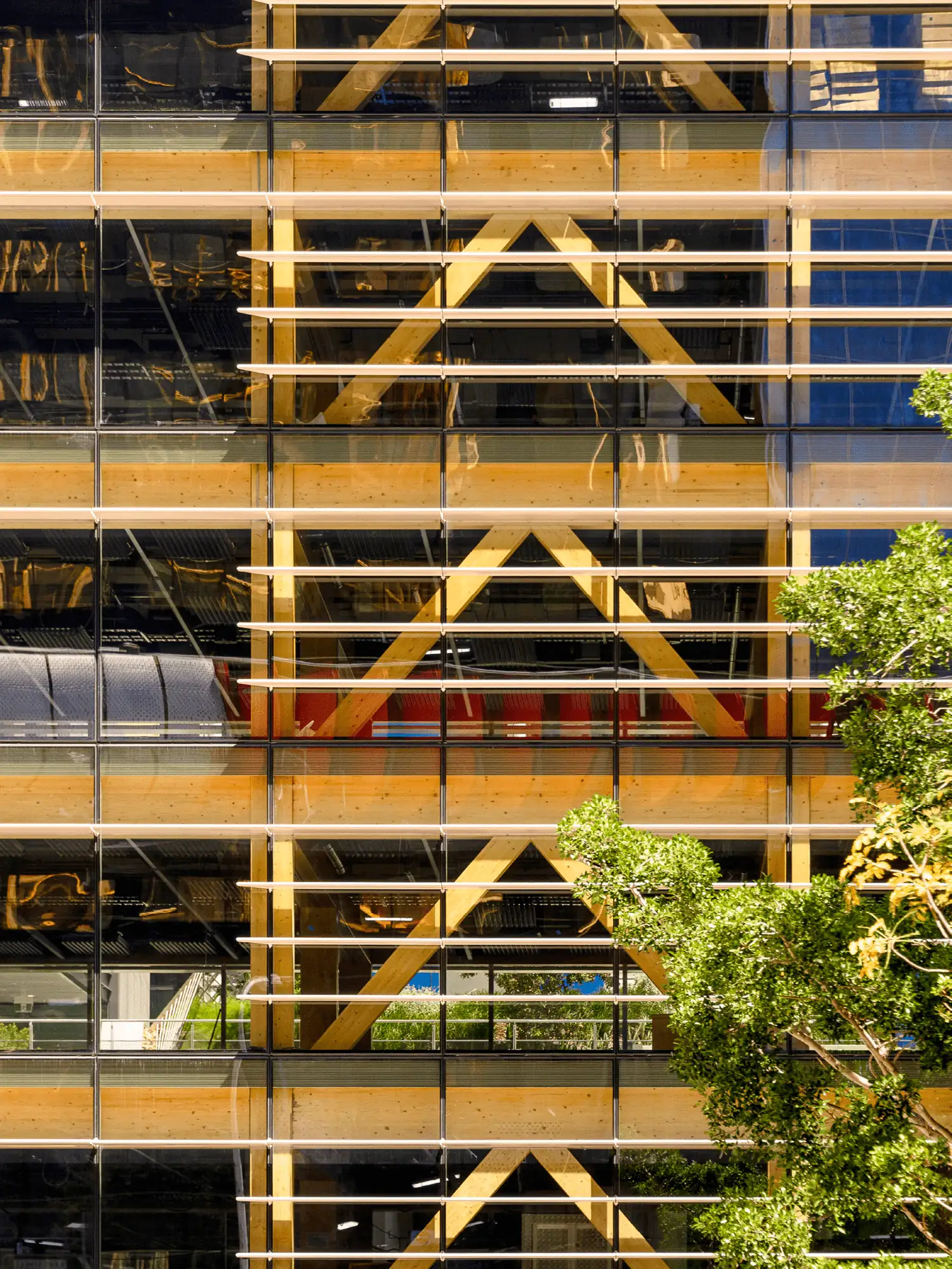 Photograph of mass timber structure and bracing bays through curtain wall glass