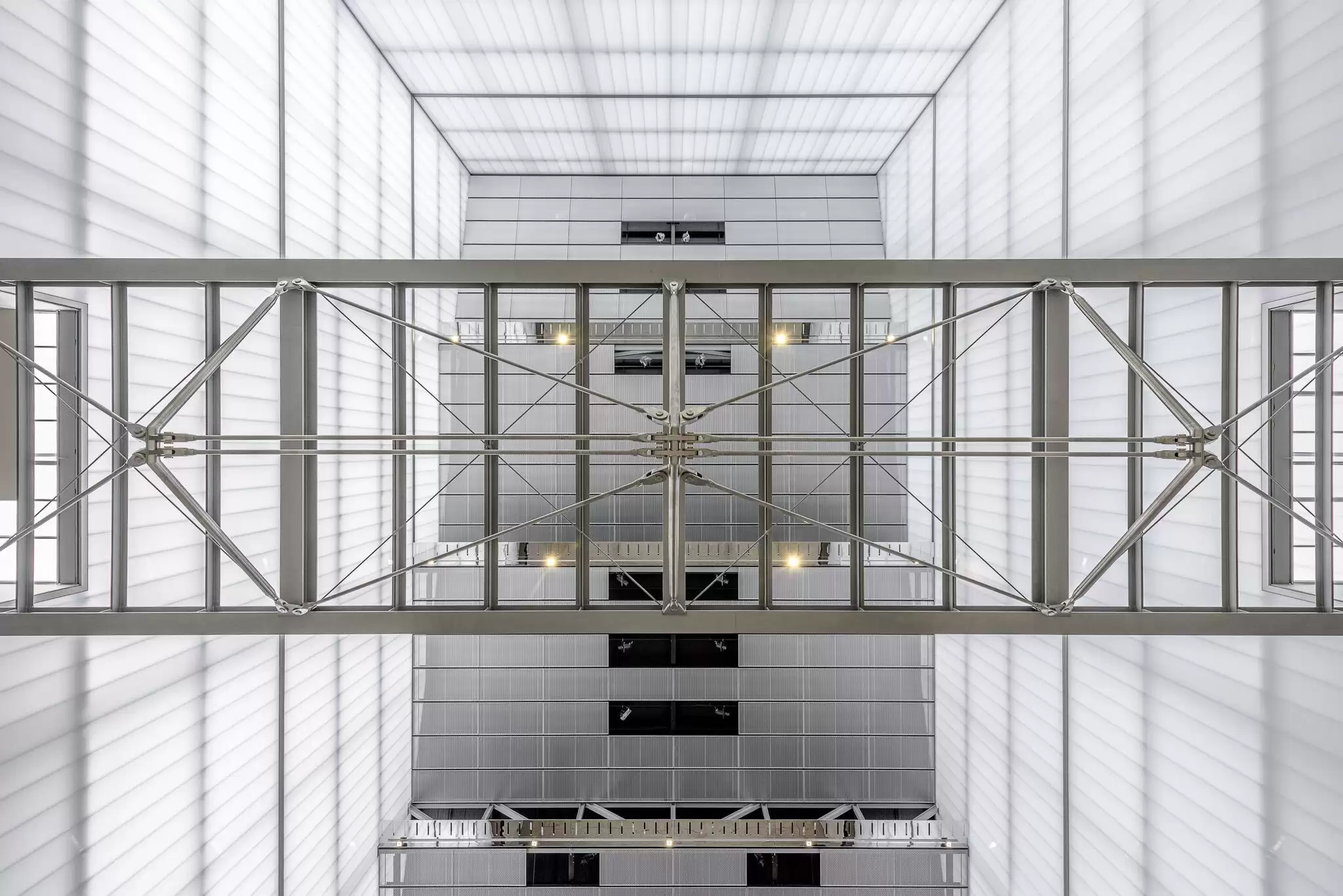 Photograph looking up at ceiling of Great Hall in the award-wining Dangrove Art Storage Facility designed by Tzannes