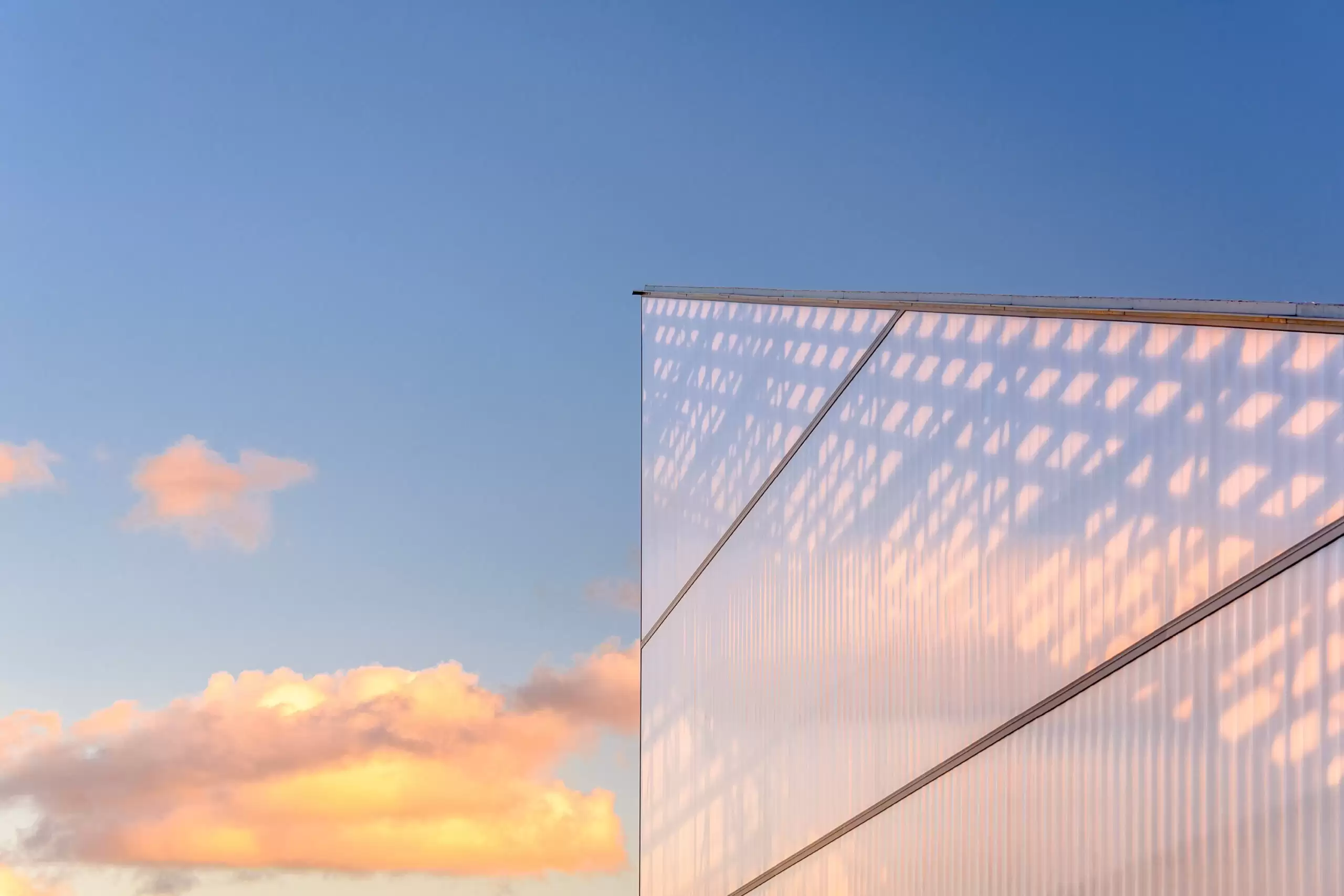 Photograph of the roof form of the award-wining DANGROVE Art Storage Facility designed by Tzannes
