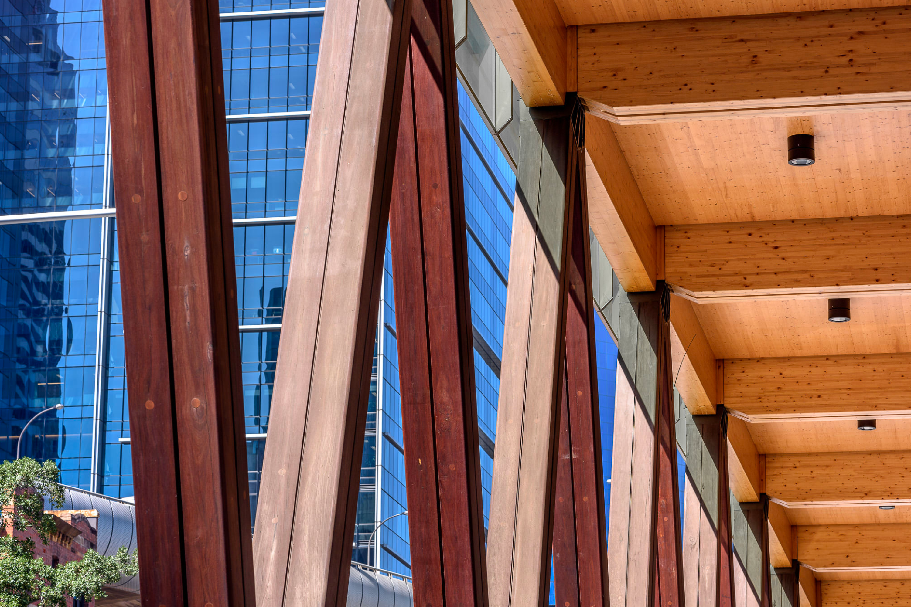 Photograph of award-wining