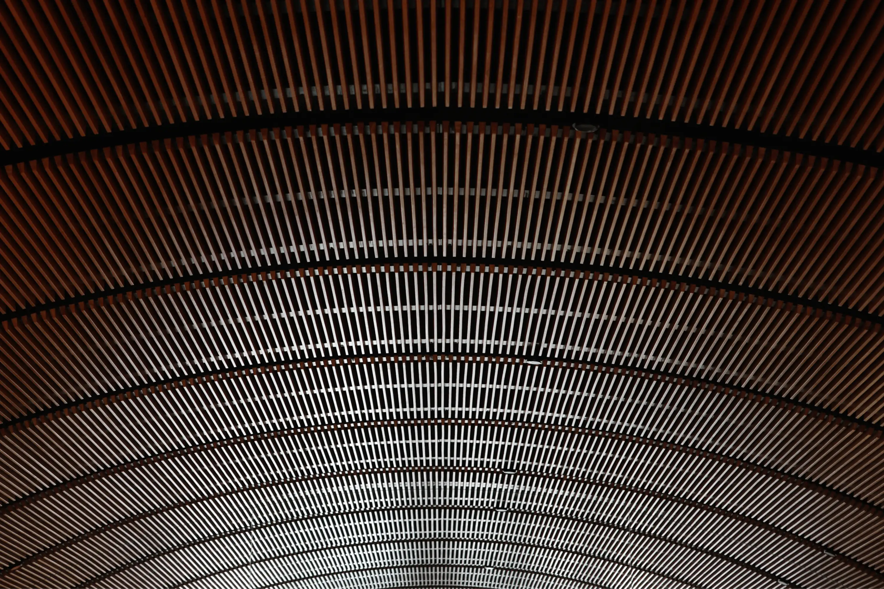 Photograph of the arched timber ceiling in the award-wining Bistro Moncur and Woollahra Hotel designed by Tzannes
