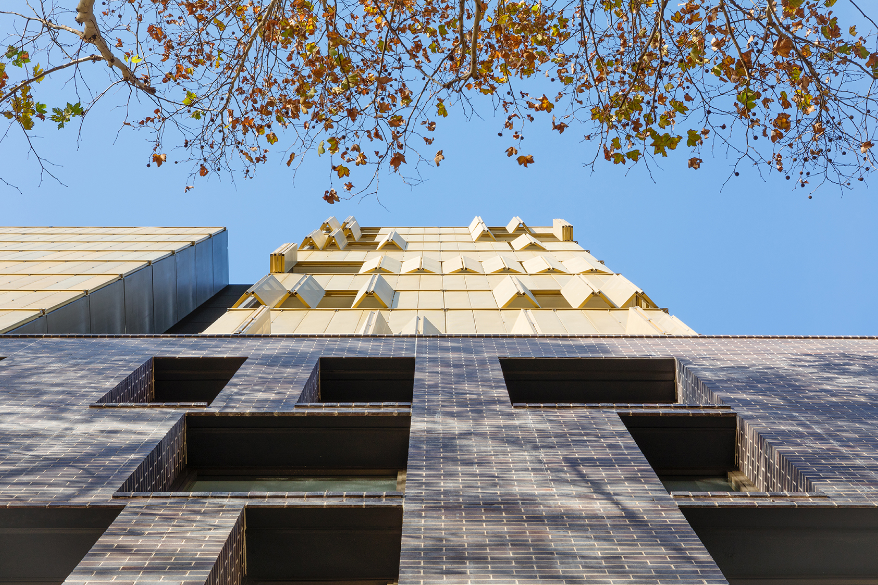 Photograph of the award-wining Day Street Apartments external façade designed by Tzannes